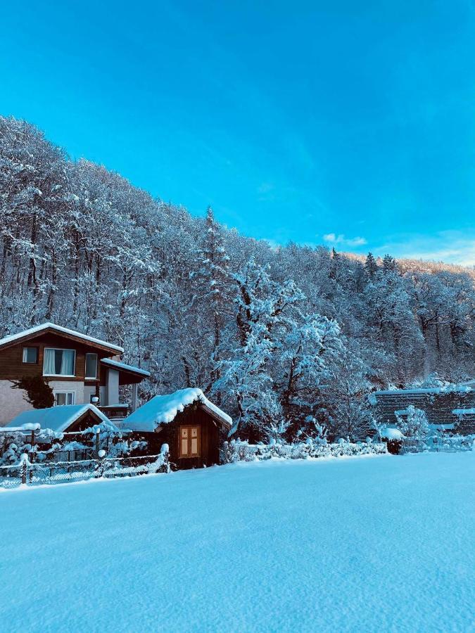 Chalet Happy Family, Secluded Location, 15 Min To Salzburg And Just Short To T Lakes Sound Of Music, Bbq&Bikes&Sunbeds For Free, Up To 14P Голинг ан дер Залцах Екстериор снимка